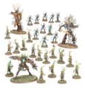 Games Workshop Streitmacht Der Sylvaneth Waldgeister Kriegshain