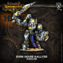 Privateer Press MKIV PREVIEW BATTLEGROUP Dusk House Kallyss 5