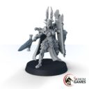 Signum Gallror, Dark Elf Warrior 2