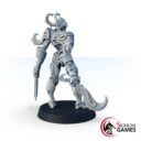 Signum Hacket Saar, Lord Keeper Of The Nest 3