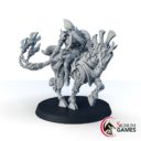 Signum Hereb, The Mind Hunters Veteran 2