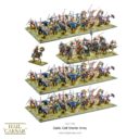 WG Hail Caesar Celt Starter Army 2