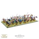 WG Hail Caesar Celt Starter Army 3