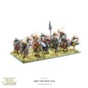 WG Hail Caesar Celt Starter Army 4