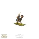 WG Hail Caesar Celt Starter Army 5