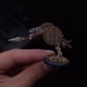 Warp Gnolle Patreon 5