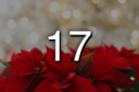 Adventskalender 17