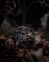 Adventskalender Theempyrean 29
