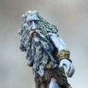 DSM Frost Giant 3