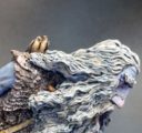 DSM Frost Giant 7