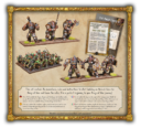 MG Mantic Ogre Ambush Starter Set 2