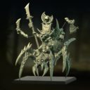 Punga Forest Goblin Warlord On A Huntsmen Spider 1