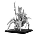 Punga Forest Goblin Warlord On A Huntsmen Spider 2