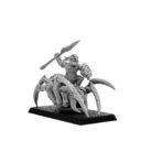 Punga Goblin Spider Rider 10