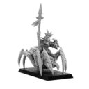Punga Goblin Spider Rider 2