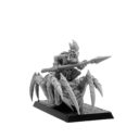 Punga Goblin Spider Rider 8
