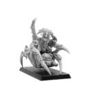 Punga Goblin Spider Rider Champion 2