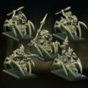 Punga Goblin Spider Rider Squad
