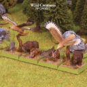 SPCR0077 WildCreatures