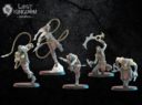 LK Night Elves 12