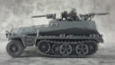 Review Sdkfz250 09