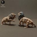 Animaldenminiatures11