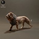 Animaldenminiatures15