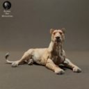 Animaldenminiatures18