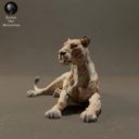 Animaldenminiatures19