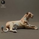 Animaldenminiatures20