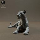 Animaldenminiatures22