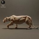 Animaldenminiatures23