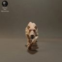 Animaldenminiatures24