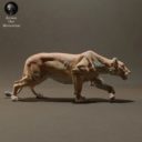 Animaldenminiatures25