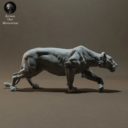 Animaldenminiatures26