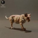 Animaldenminiatures27