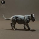 Animaldenminiatures29