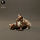 Animaldenminiatures30