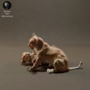 Animaldenminiatures32