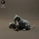 Animaldenminiatures33