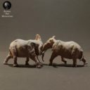 Animaldenminiatures35