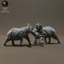 Animaldenminiatures37