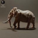 Animaldenminiatures39