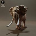 Animaldenminiatures40