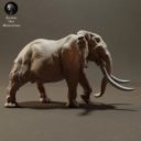Animaldenminiatures41