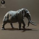 Animaldenminiatures42
