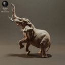 Animaldenminiatures43