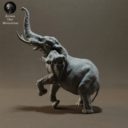 Animaldenminiatures46
