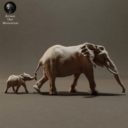 Animaldenminiatures48