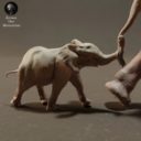 Animaldenminiatures49